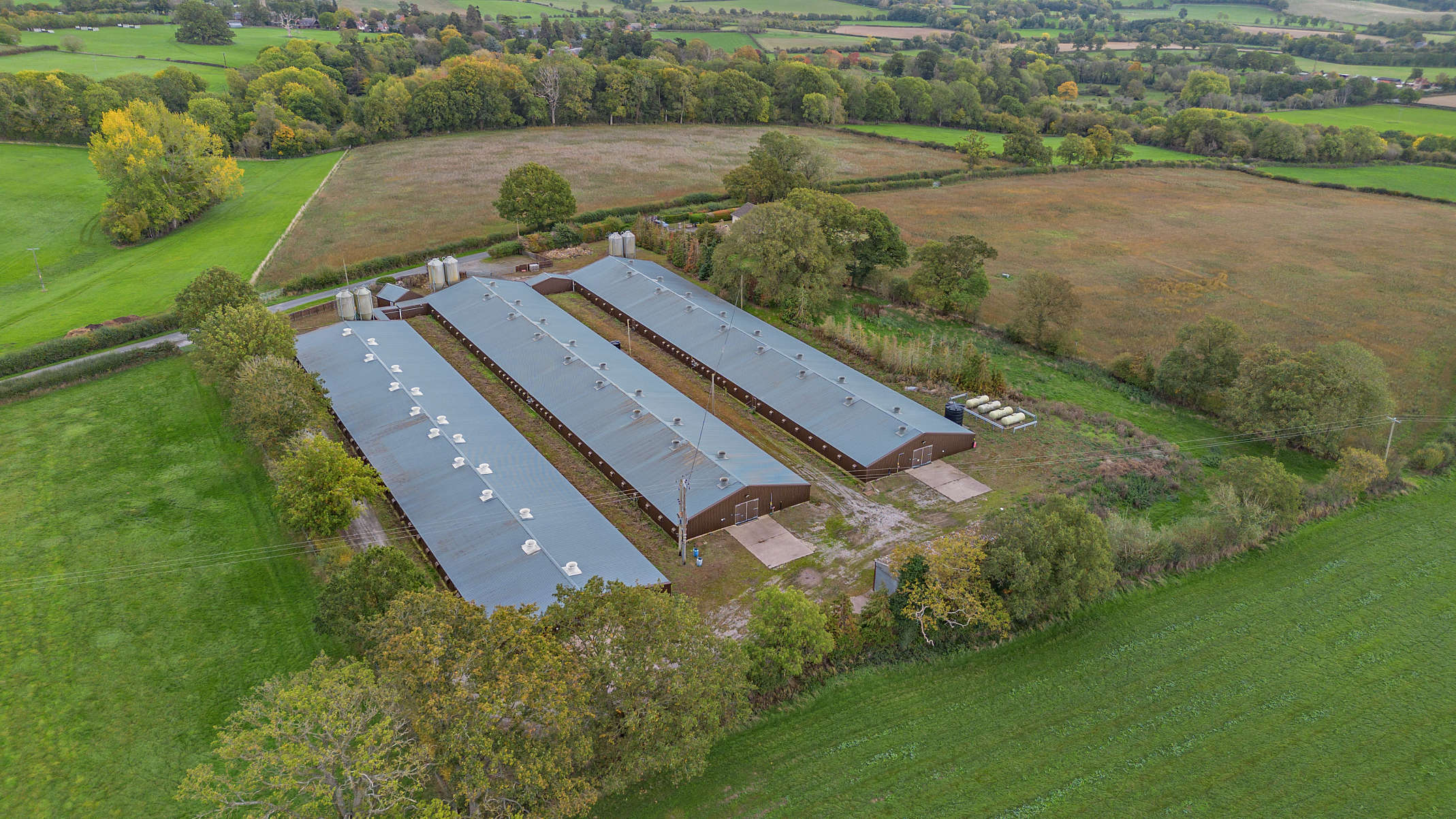 BROADMOOR FARM AND THE LEYS | R.G. & R.B. Williams